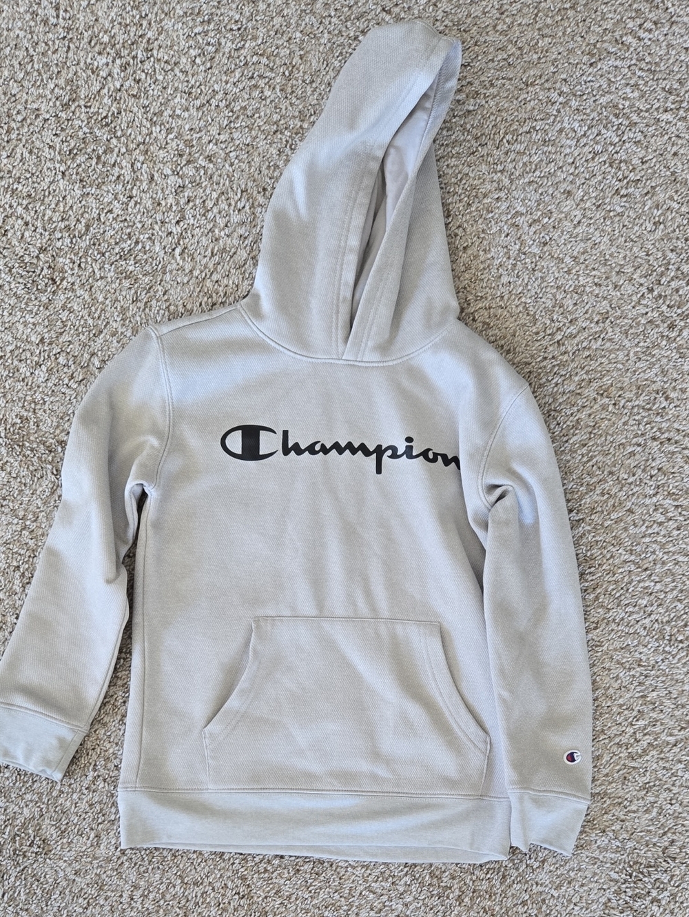 Champion Light Gray Kids Pullover Hoodie with Black Logo